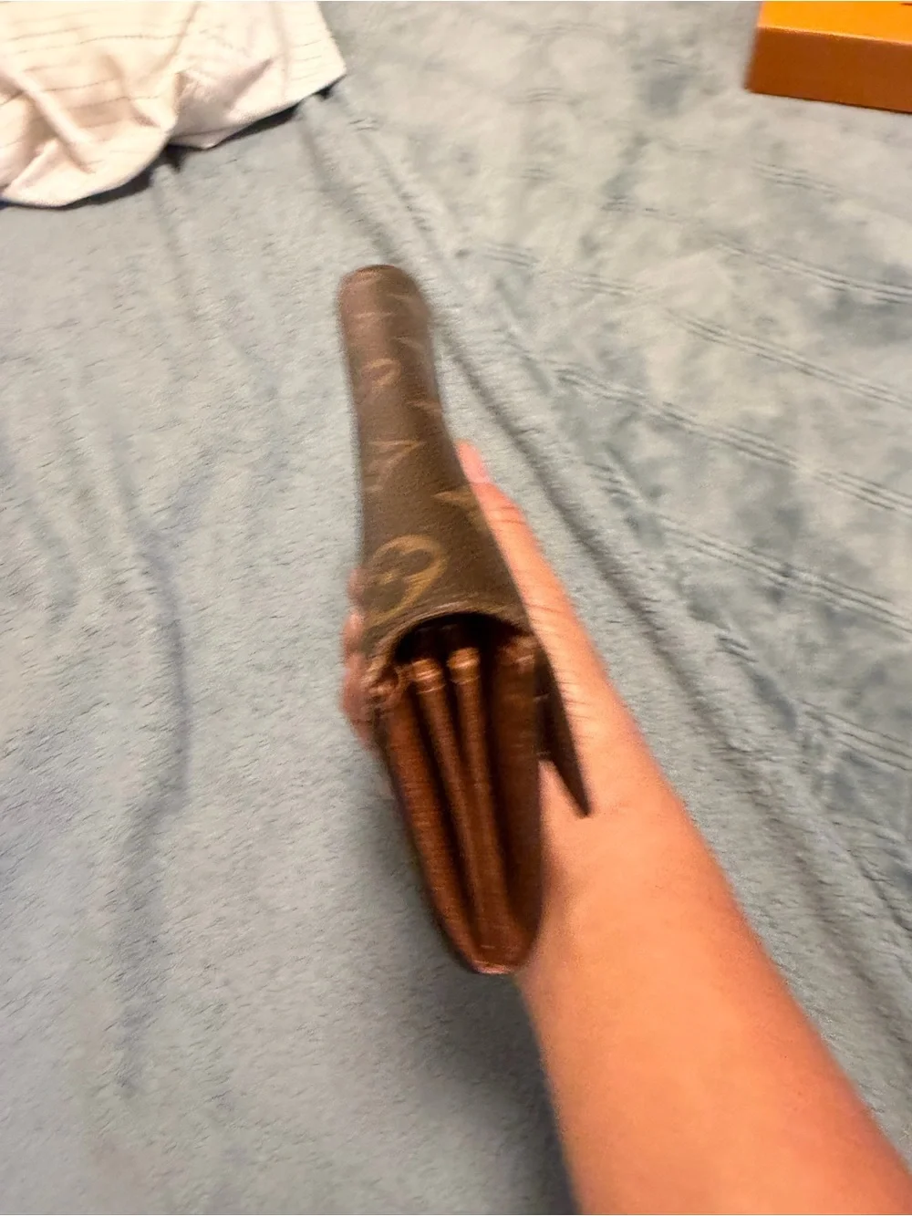 Louis Vuitton louis vuitton